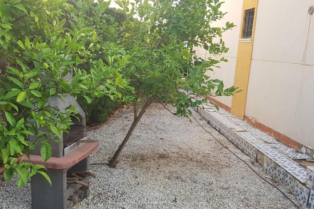 Punta Prima Bungalow Jardin Privado Torrevieja Luaran gambar