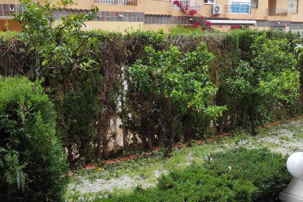 Punta Prima Bungalow Jardin Privado Torrevieja Luaran gambar